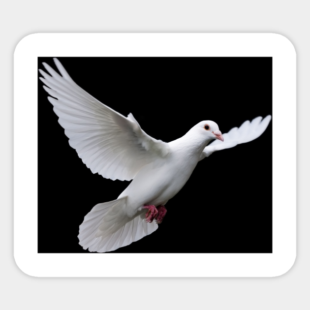 Dove - Dove - Sticker | TeePublic